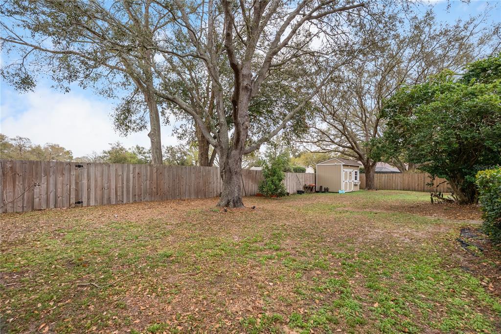 1619 Palace Court Valrico, FL 33594 - Photo 78 of 84