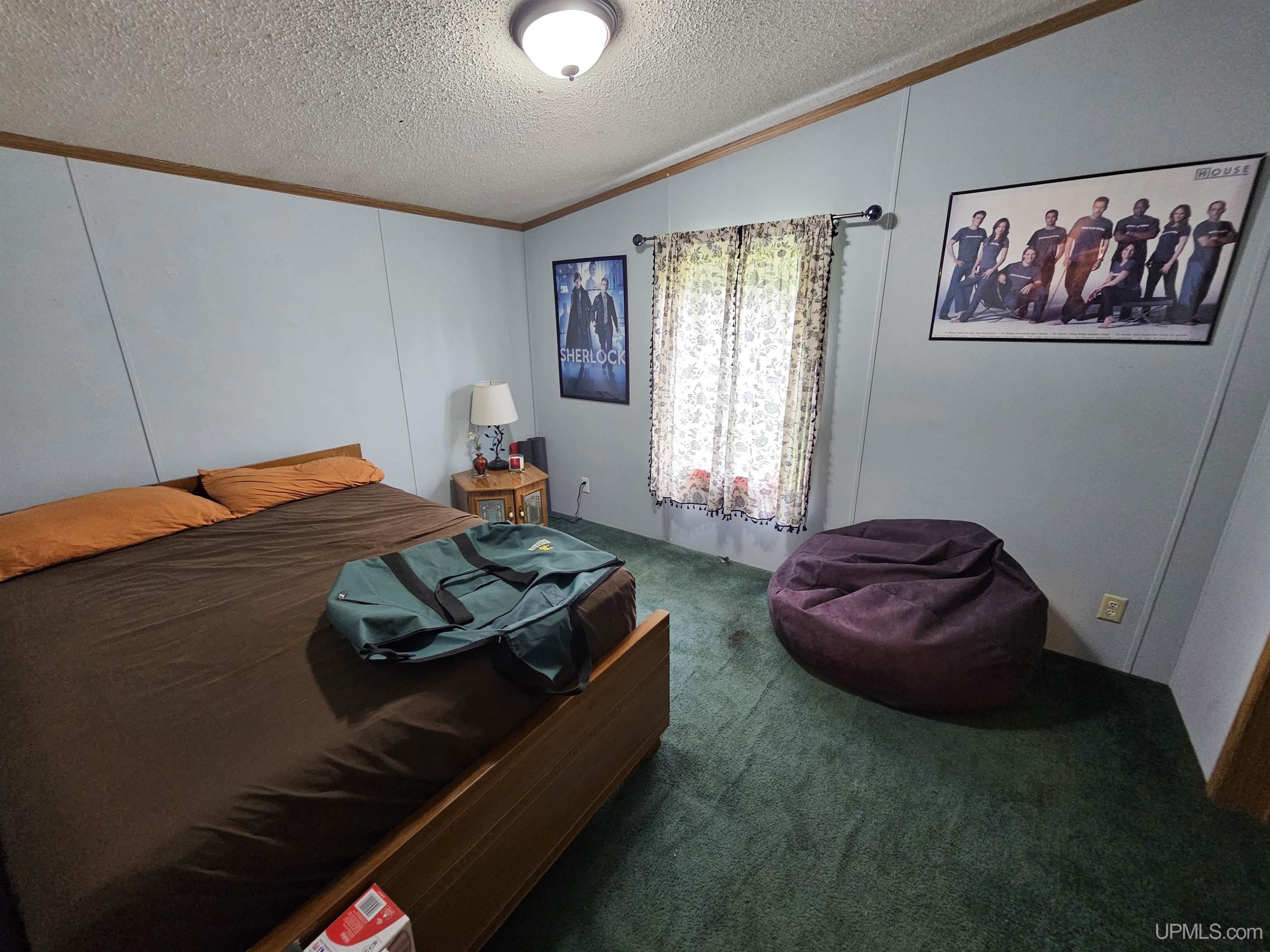 11 Snowfield Road Negaunee, MI 49866 - Photo 38 of 56 Gallery Image 38