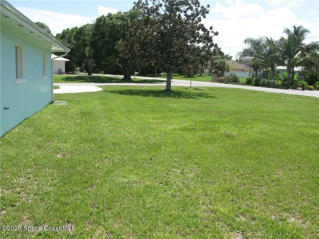 a view of a trees with a big yard