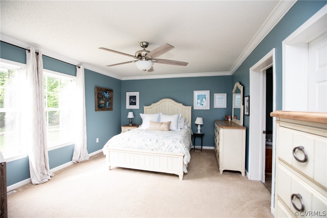2862 Stage Coach Road Farmville, VA 23901 - Photo 22 of 48 a spacious bedroom with a bed and a chandelier