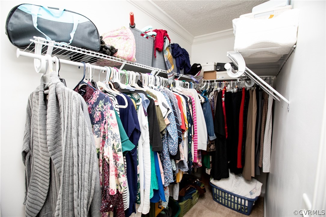 2862 Stage Coach Road Farmville, VA 23901 - Photo 26 of 48 a view of walk in closet with clothes