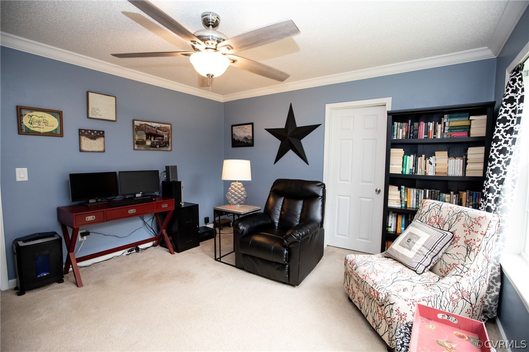 2862 Stage Coach Road Farmville, VA 23901 - Photo 32 of 48 a living room with furniture a rug and a bookshelf