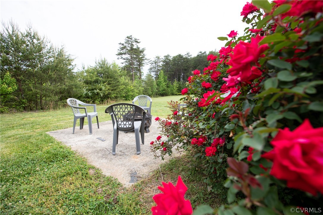 2862 Stage Coach Road Farmville, VA 23901 - Photo 46 of 48 a view of a bench in a garden