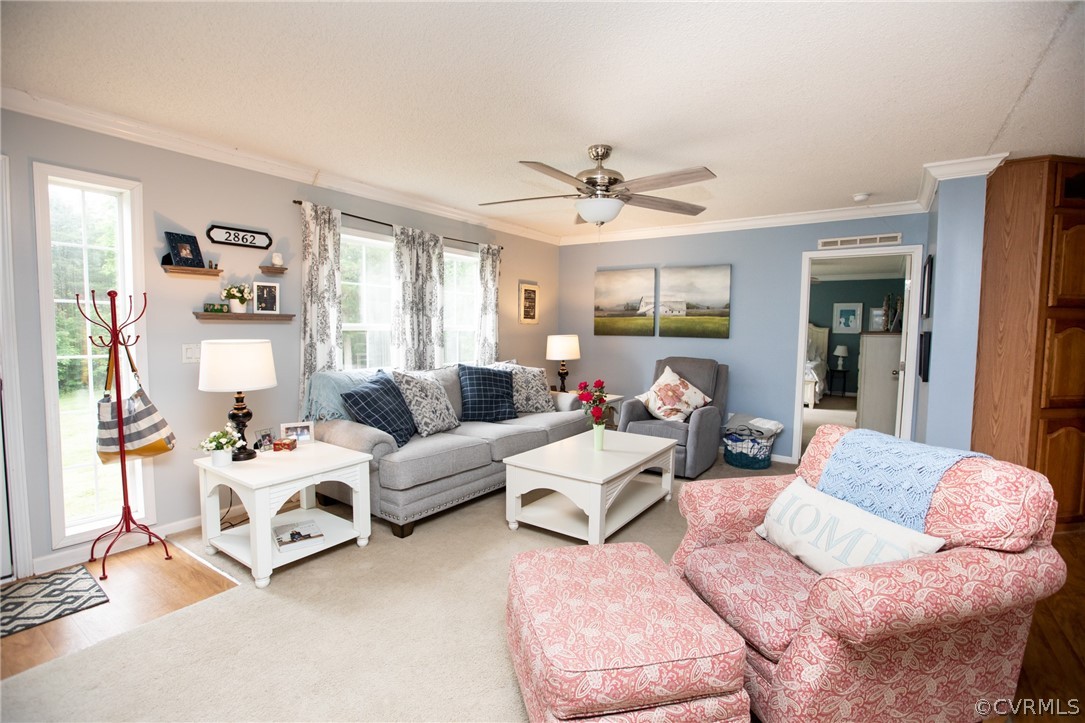 2862 Stage Coach Road Farmville, VA 23901 - Photo 5 of 48 a living room with furniture and a large window