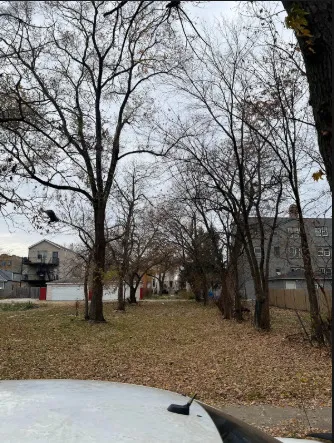 a view of outdoor space with trees