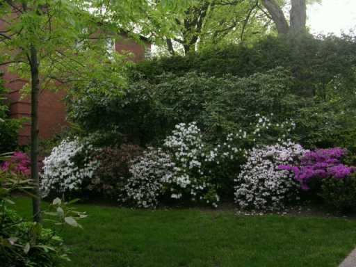 445 Olympia Road Pittsburgh, PA 15211 - Photo 8 of 8 Other.