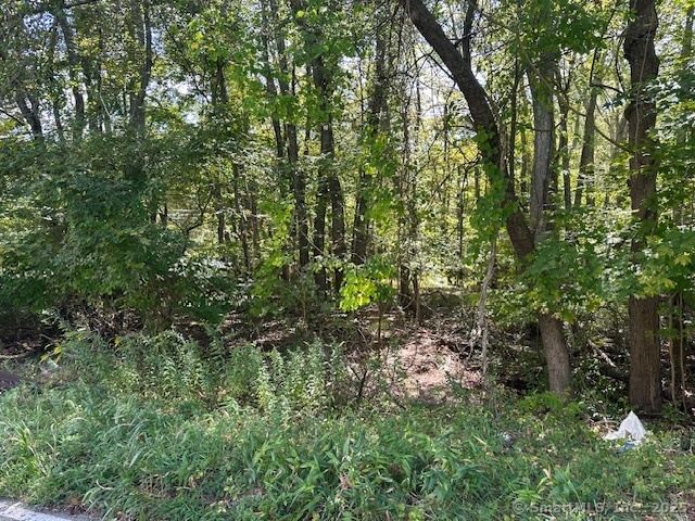 a view of a lush green forest