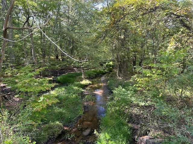 87 Fort Shantok Road Montville, CT 06382 - Photo 4 of 7 a view of a forest with a tree
