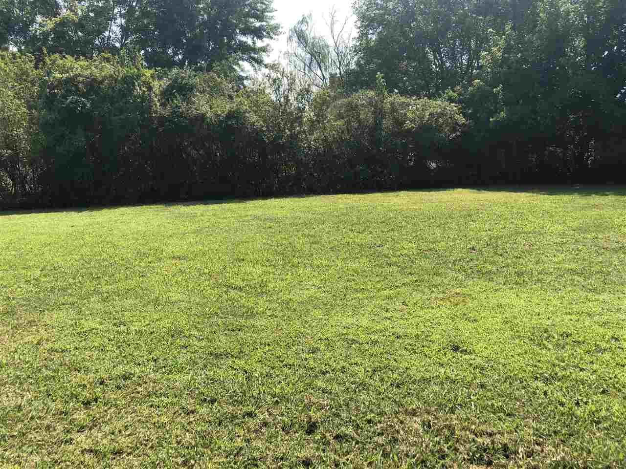 239 Ring Street Adamsville, TN 38310 - Photo 14 of 17 Gallery Image 14