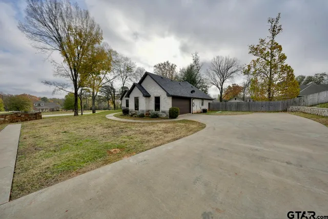 a road view with large trees