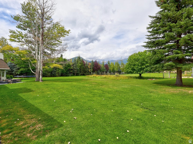 180 Farm Road Midway, UT 84049 - Photo 25 of 99 Expansive green lawn with mature trees and mountain scenery
