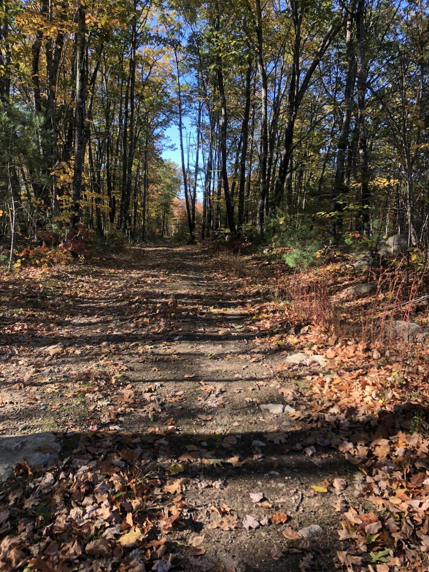 0 Howitt Road Lyman, ME 04002 - Photo 2 of 3 IMG_1224