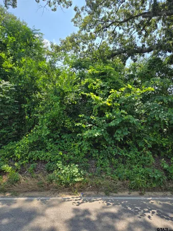 $120,000 | 485 Tyler Tx 75706, Tyler, TX 75706