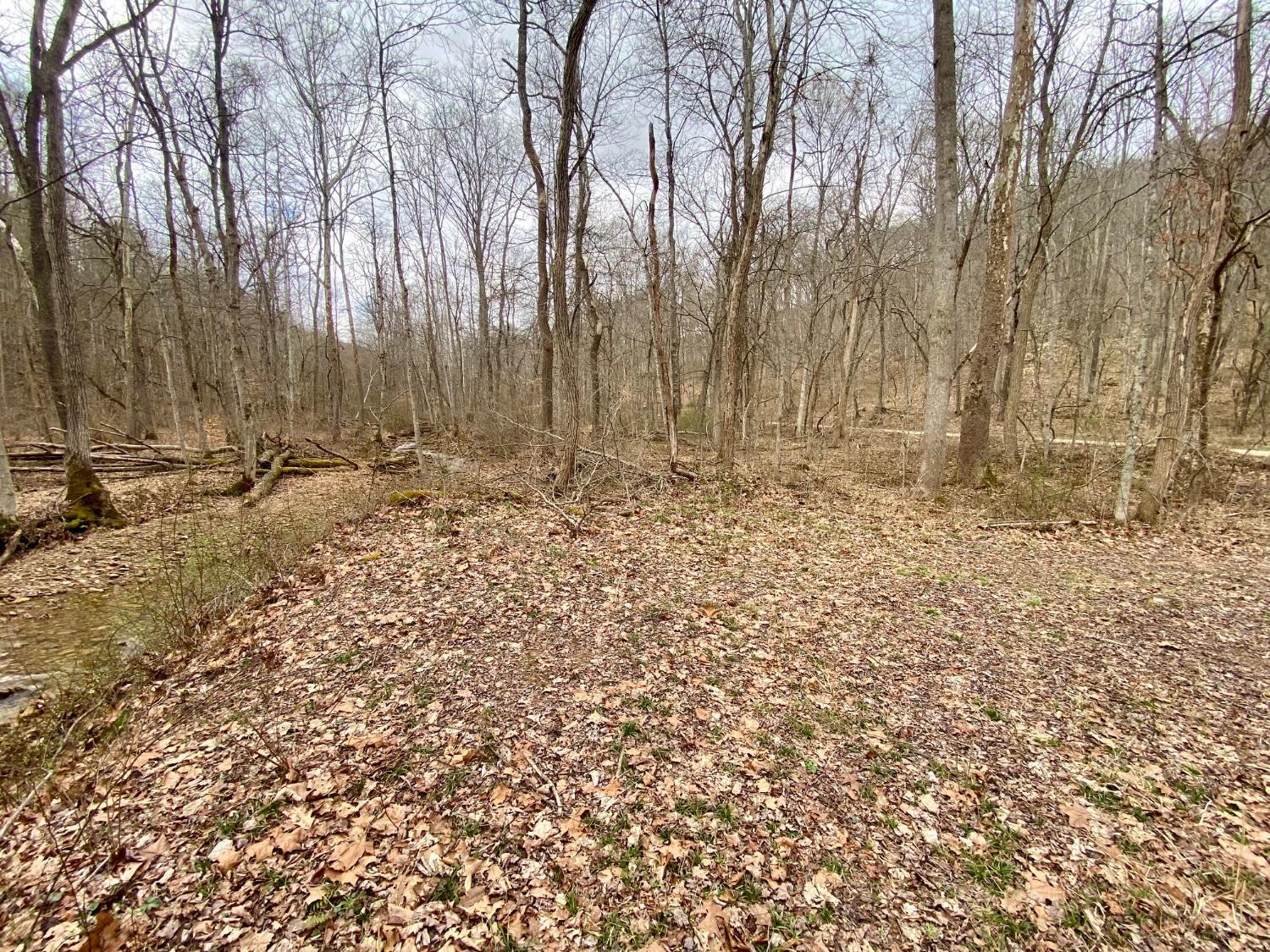 Ac Beech Fork Road Peebles, OH 45660 - Photo 10 of 49