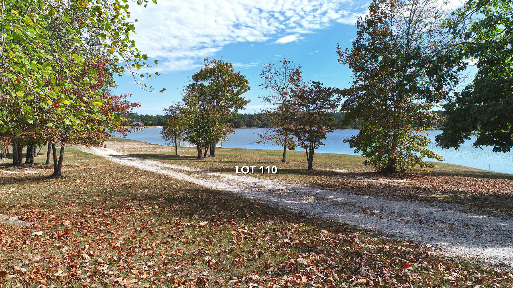 292 Gails Road West End, NC 27376 - Photo 3 of 4 road view