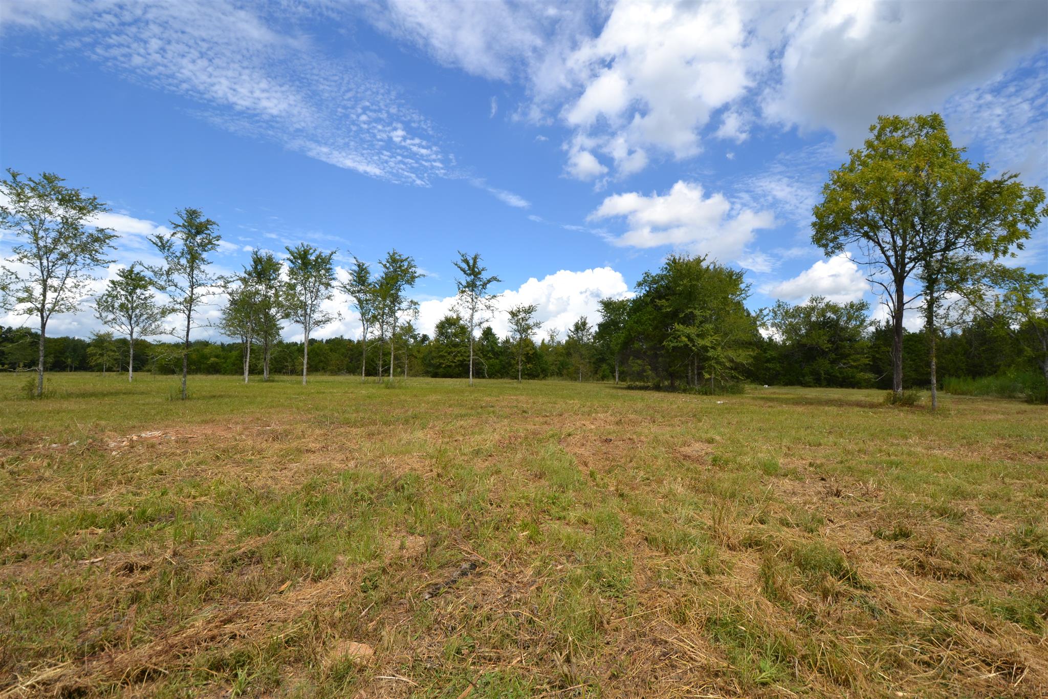 4 Fall Creek Road Lebanon, TN 37090 - Photo 3 of 11 a view of a garden