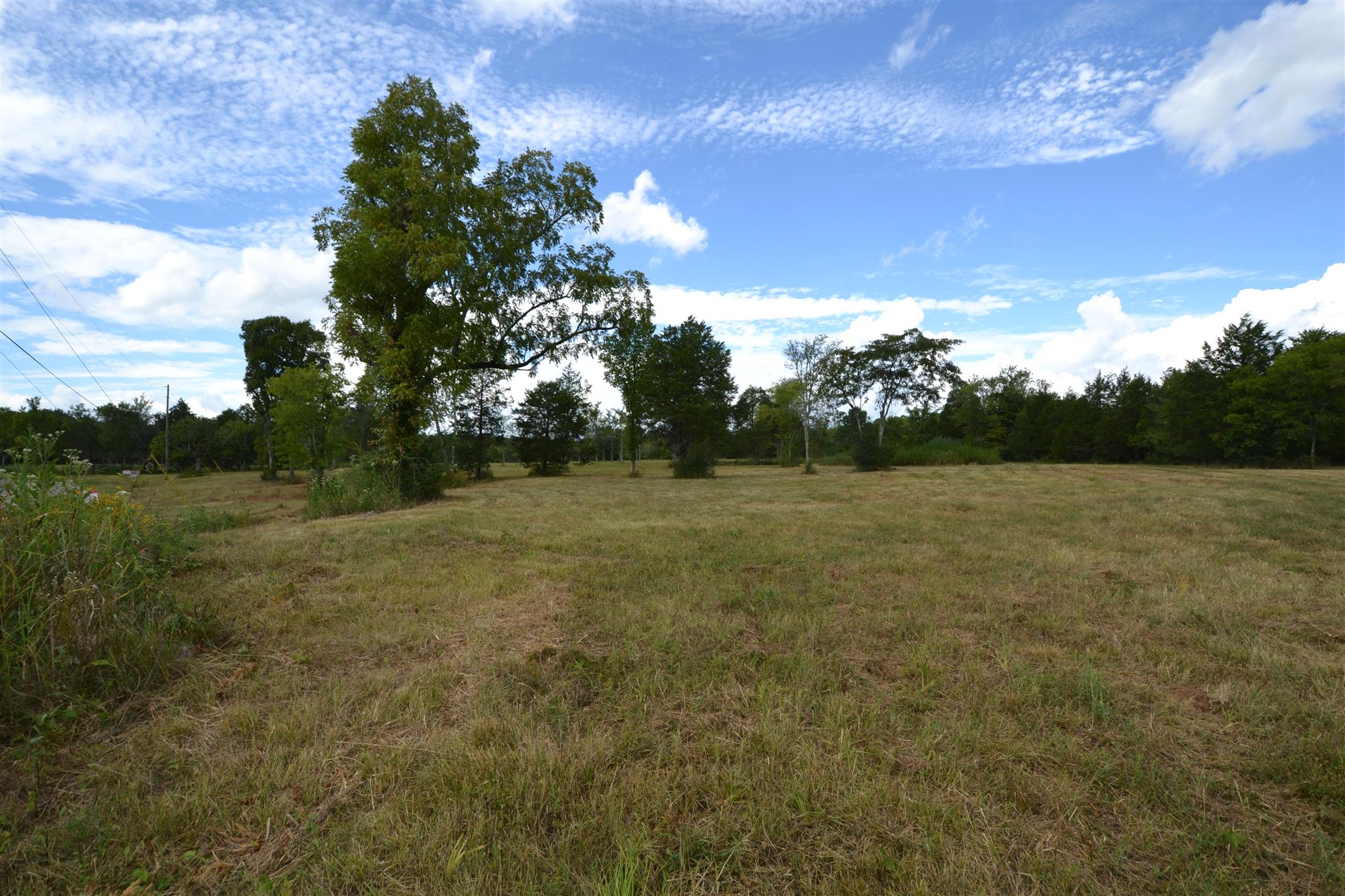 4 Fall Creek Road Lebanon, TN 37090 - Photo 4 of 11 a view of outdoor space with green field and trees