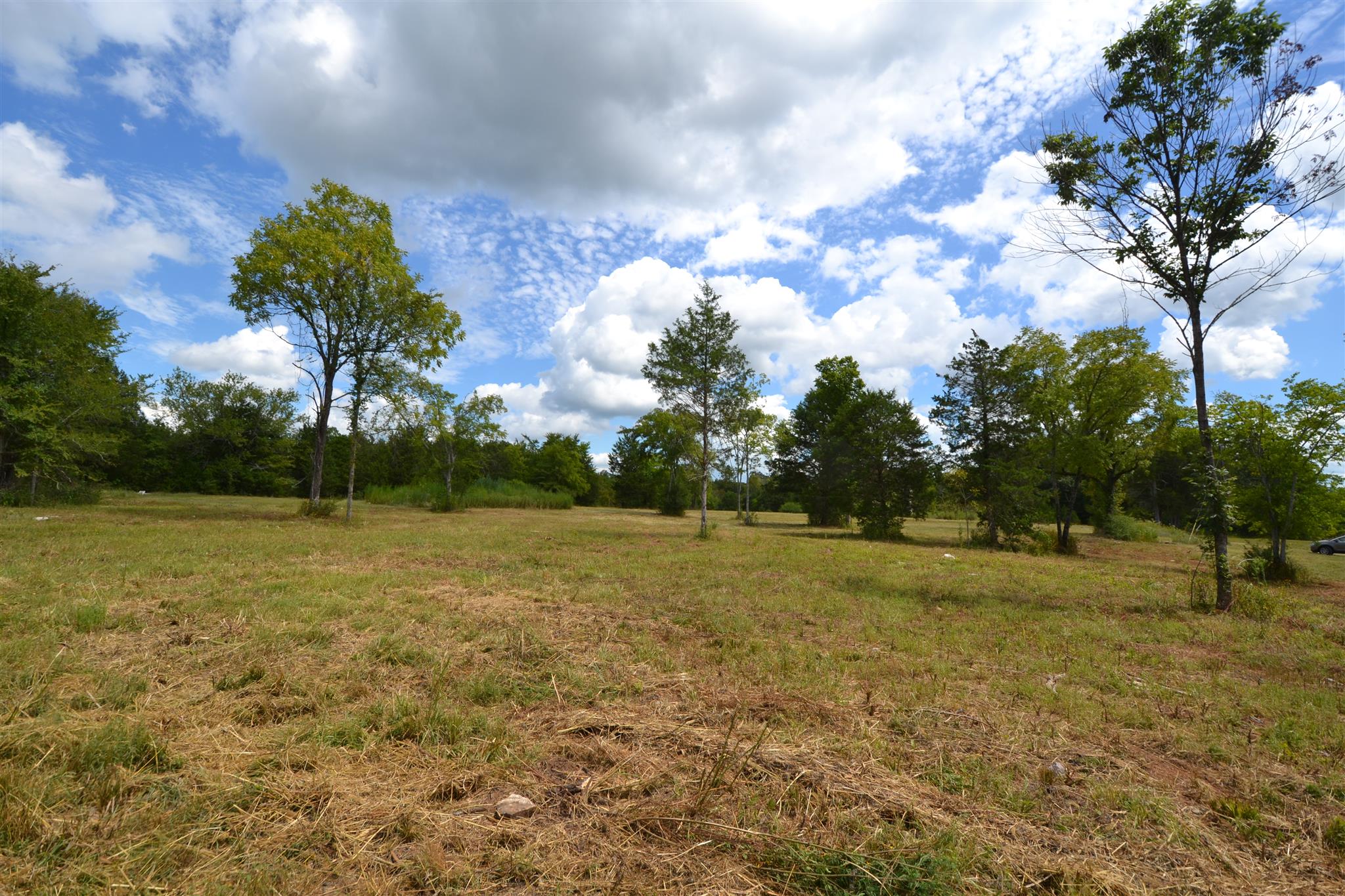 4 Fall Creek Road Lebanon, TN 37090 - Photo 6 of 11 a view of a field with an trees