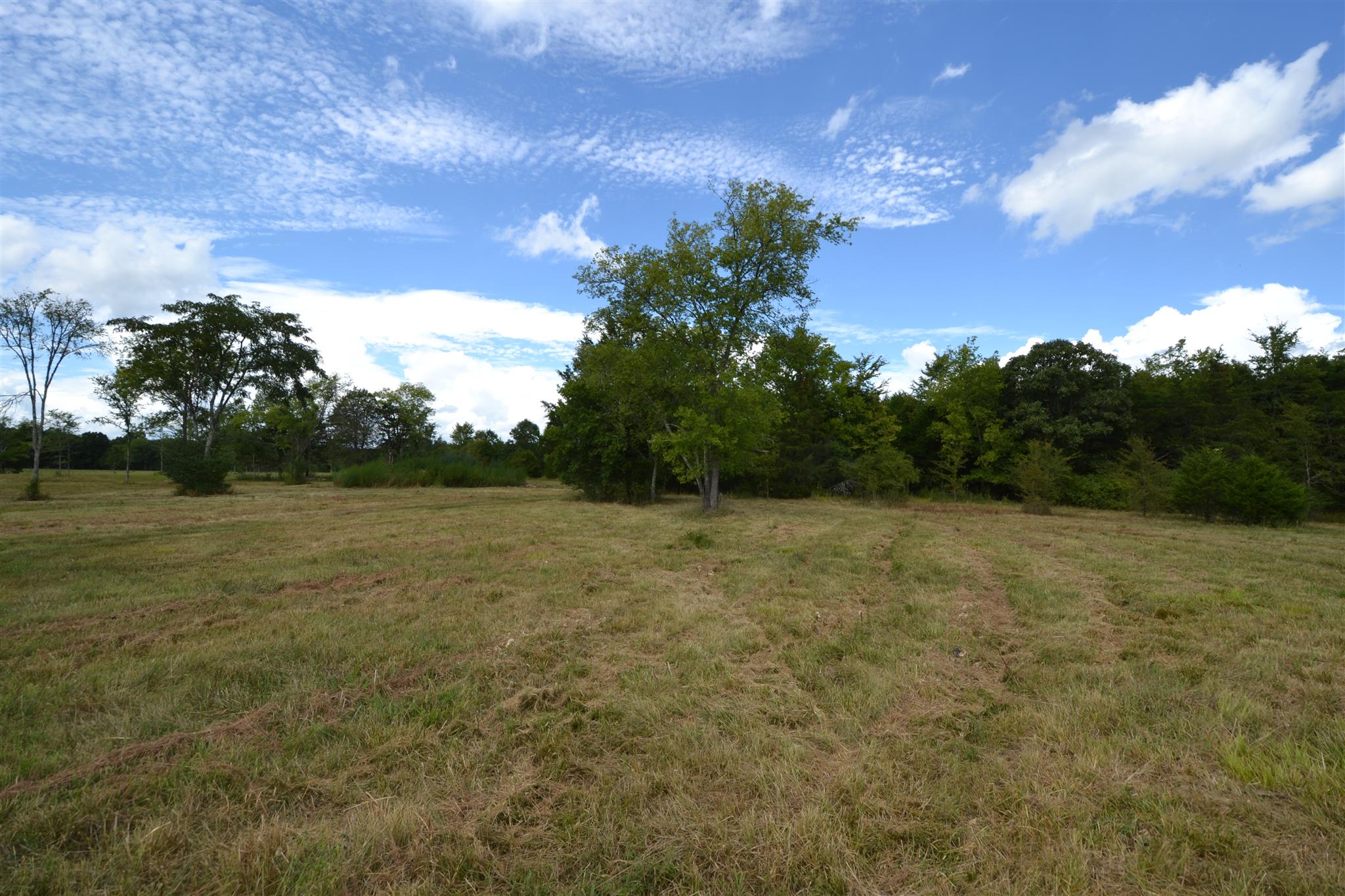 4 Fall Creek Road Lebanon, TN 37090 - Photo 7 of 11 a view of a field with trees