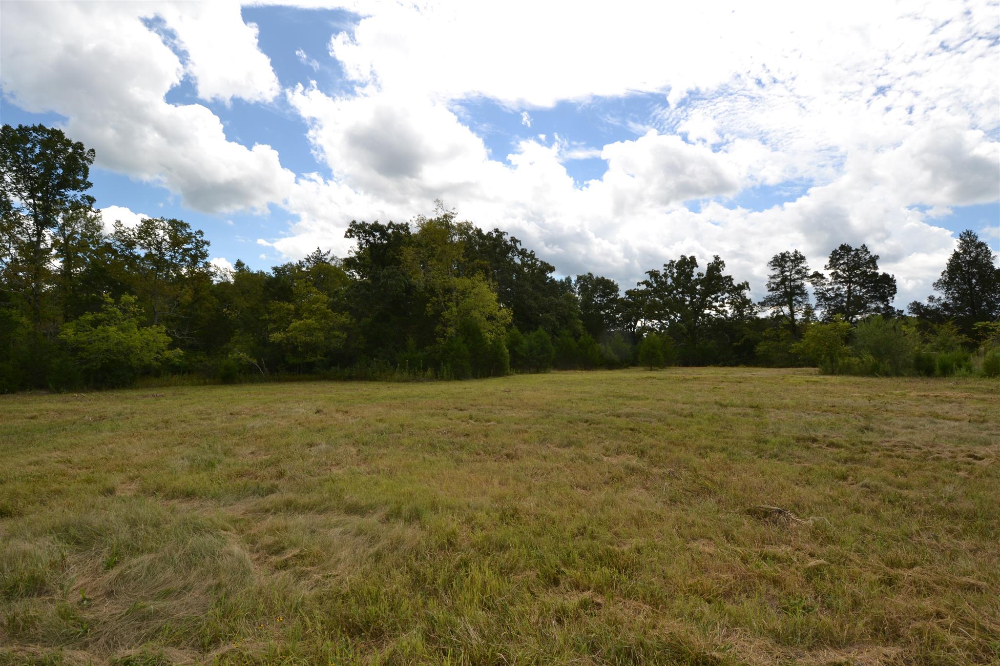 4 Fall Creek Road Lebanon, TN 37090 - Photo 8 of 11 a view of outdoor space and yard