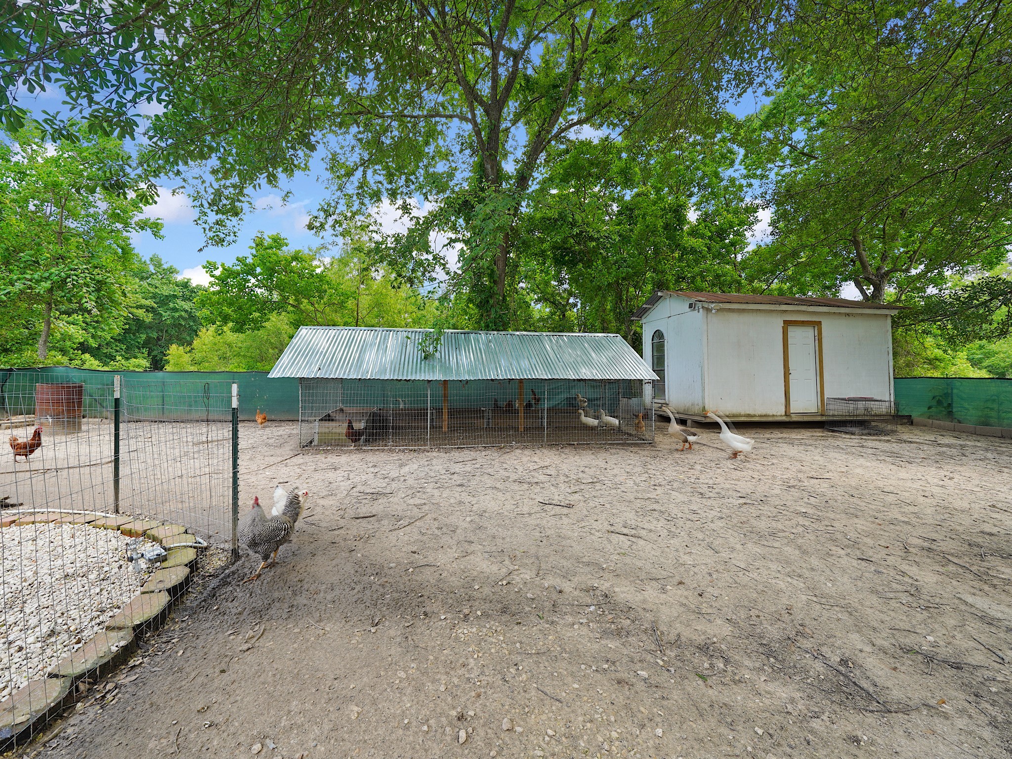 29 County Road 2131, Unit A Cleveland, TX 77327 - Photo 17 of 24 a backyard of a house with wooden fence and large trees