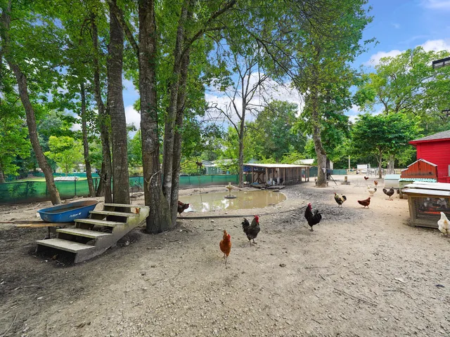 a view of backyard with swimming pool