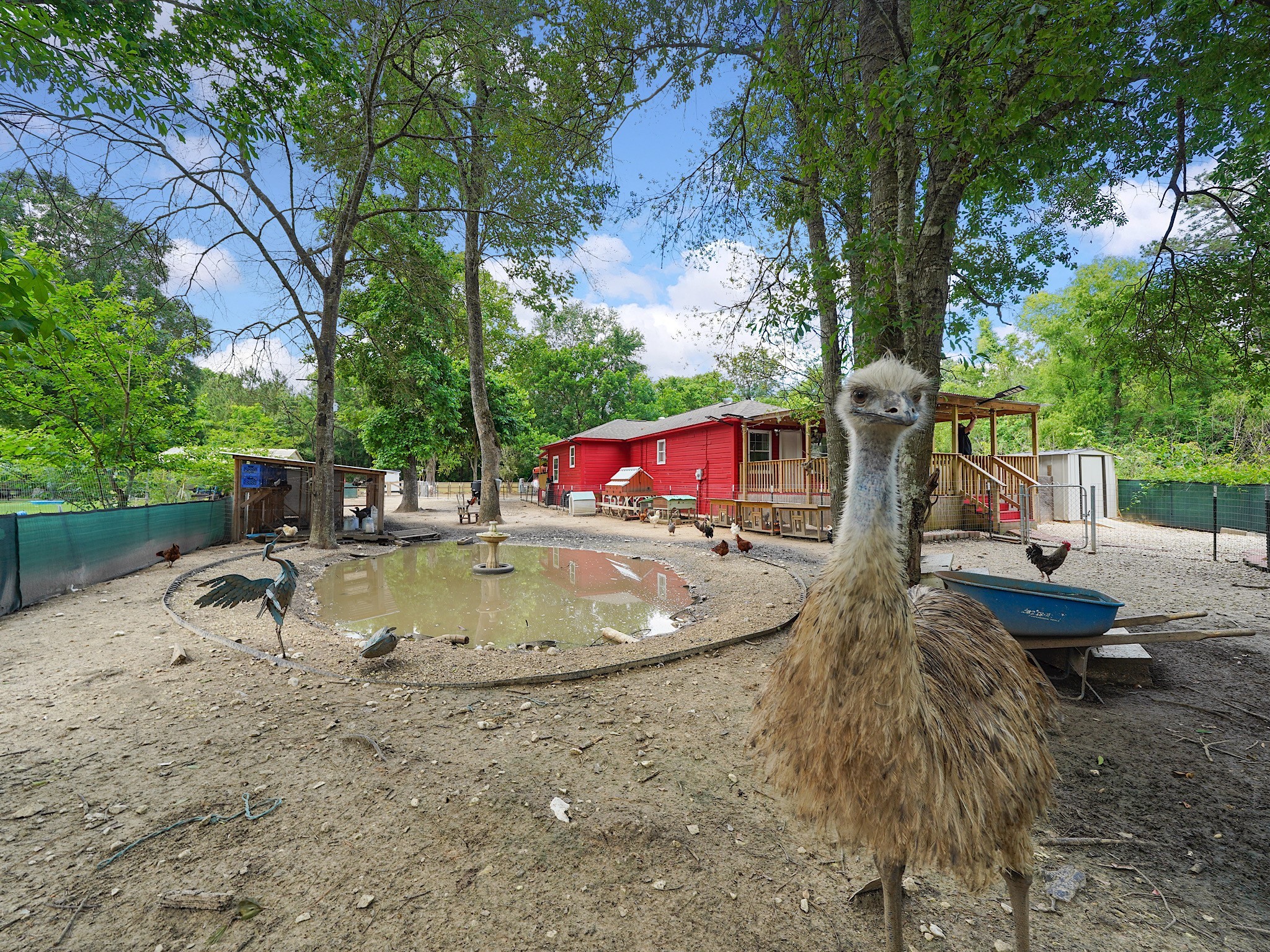 29 County Road 2131, Unit A Cleveland, TX 77327 - Photo 19 of 24 a view of backyard with swimming pool