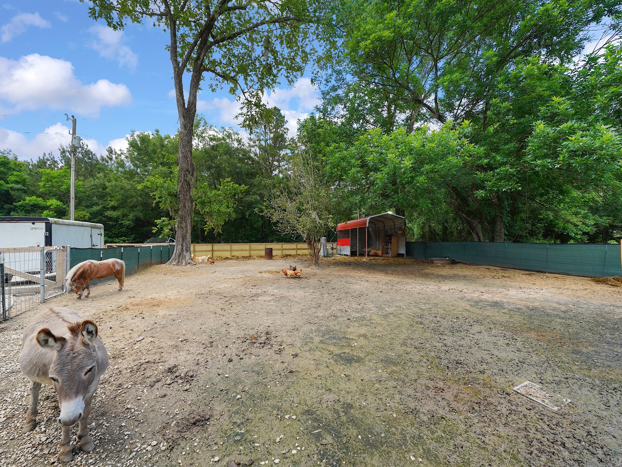 29 County Road 2131, Unit A Cleveland, TX 77327 - Photo 21 of 24 a backyard of a house with table and chairs a barbeque and a large tree
