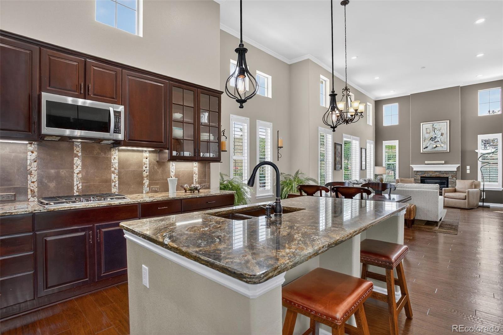 9256 Viaggio Way Highlands Ranch, CO 80126 - Photo 4 of 42 Gallery Image 4