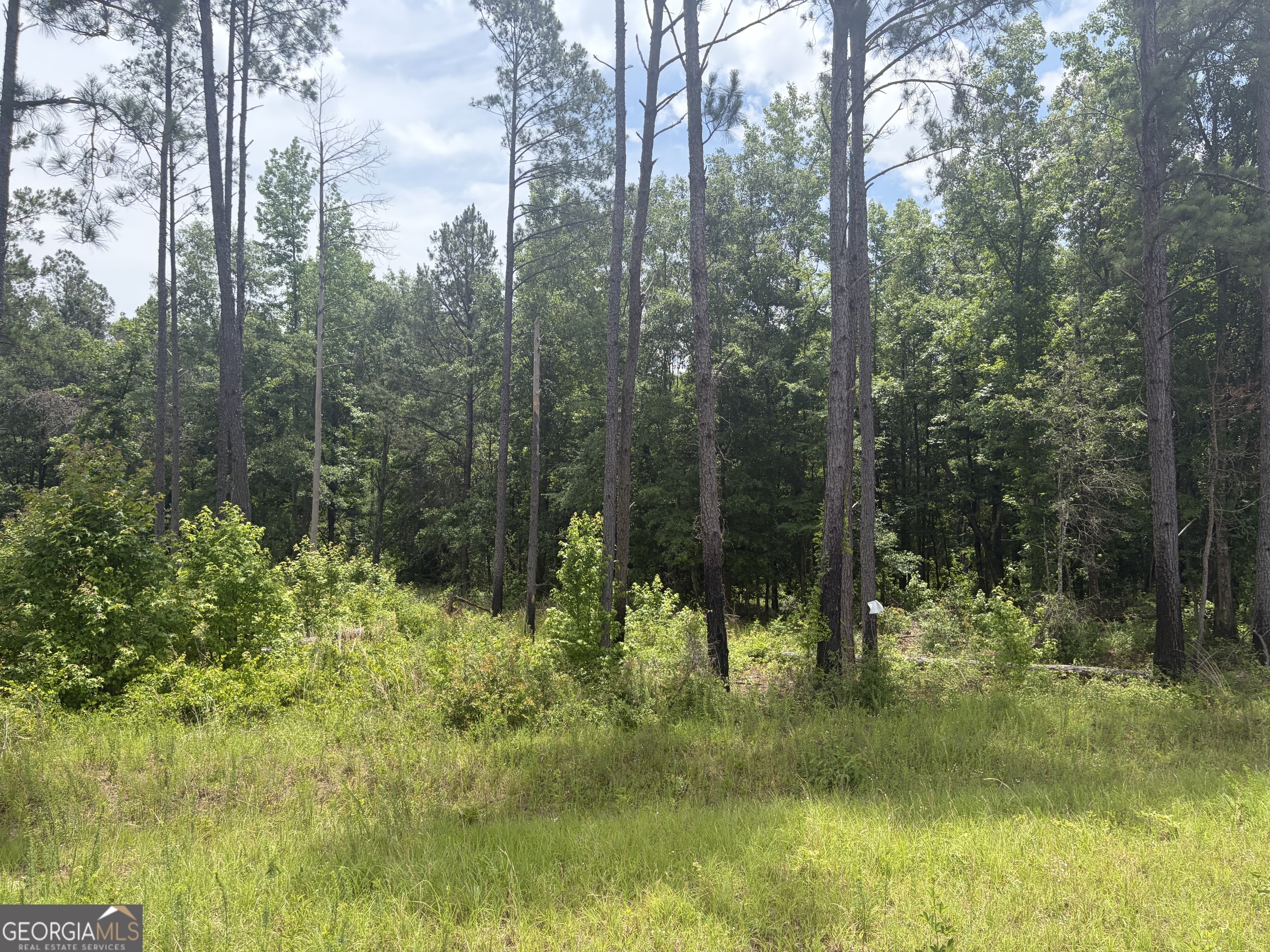 1 Sunhill Grange Road Sandersville, GA 31018 - Photo 1 of 10