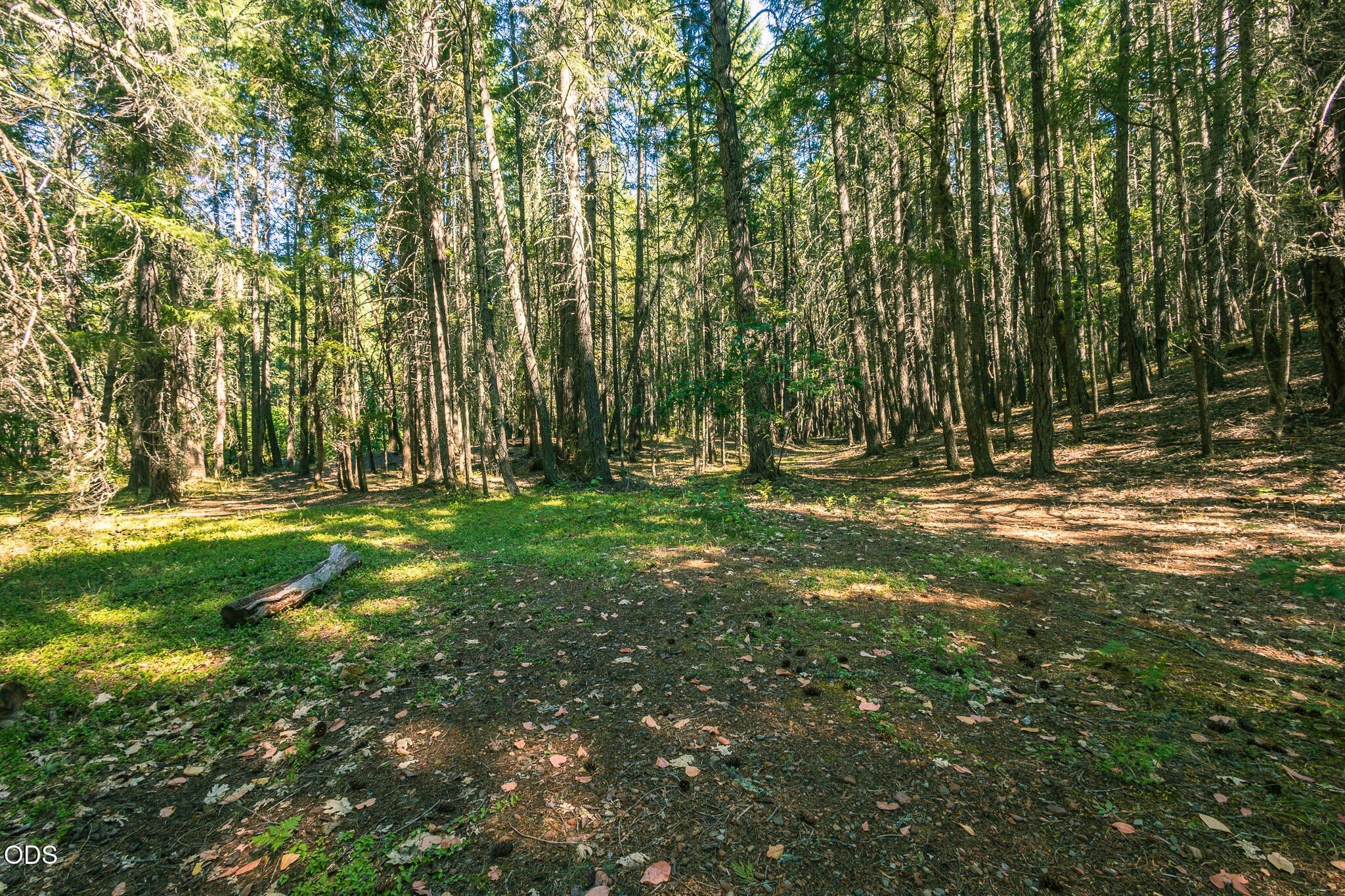 6058 Deer Creek Road Selma, OR 97538 - Photo 45 of 47 Gallery Image 45