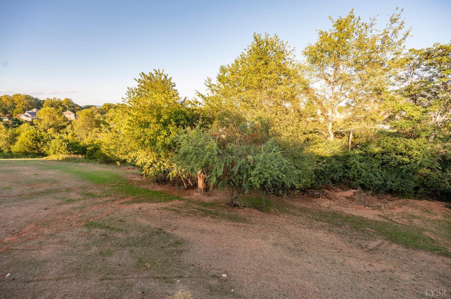 2329 Perrowville Road Forest, VA 24551 - Photo 51 of 54 Back yard
