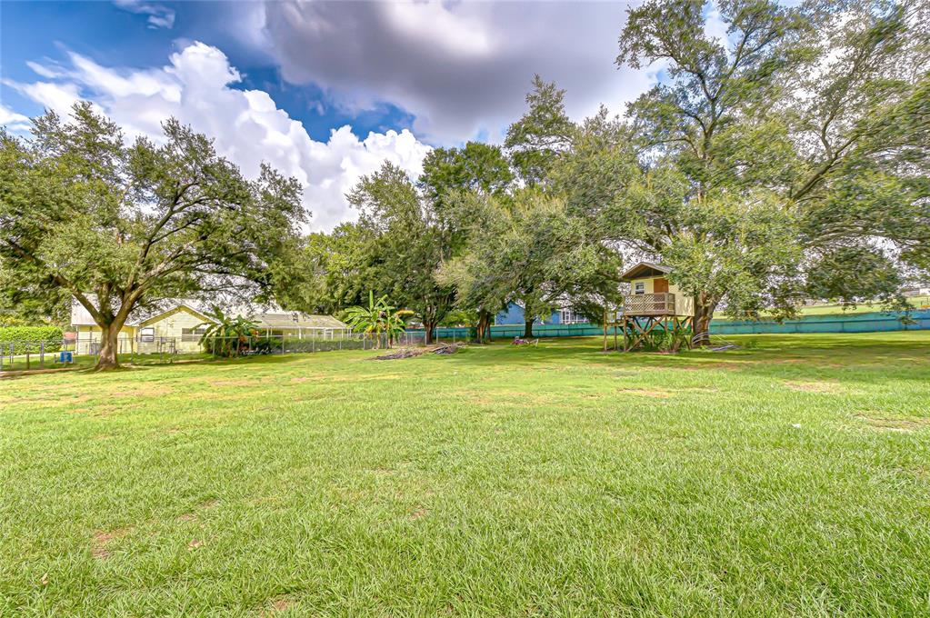 16349 Spring Valley Road Dade City, FL 33523 - Photo 11 of 40 a view of yard and trees