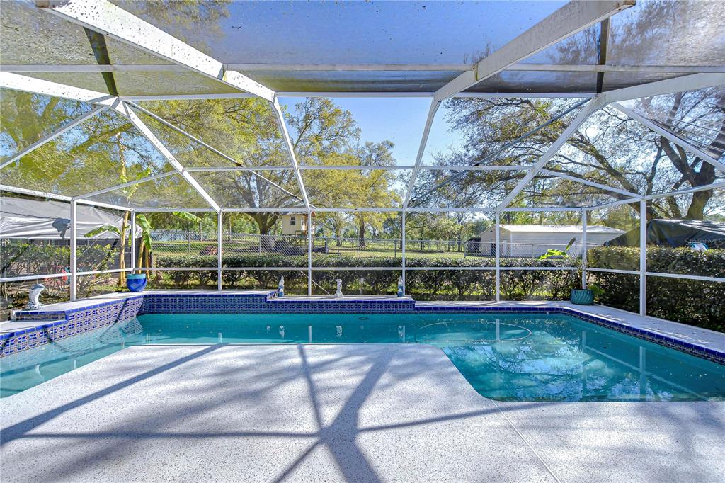 16349 Spring Valley Road Dade City, FL 33523 - Photo 13 of 40 a room with lots of trees and plants