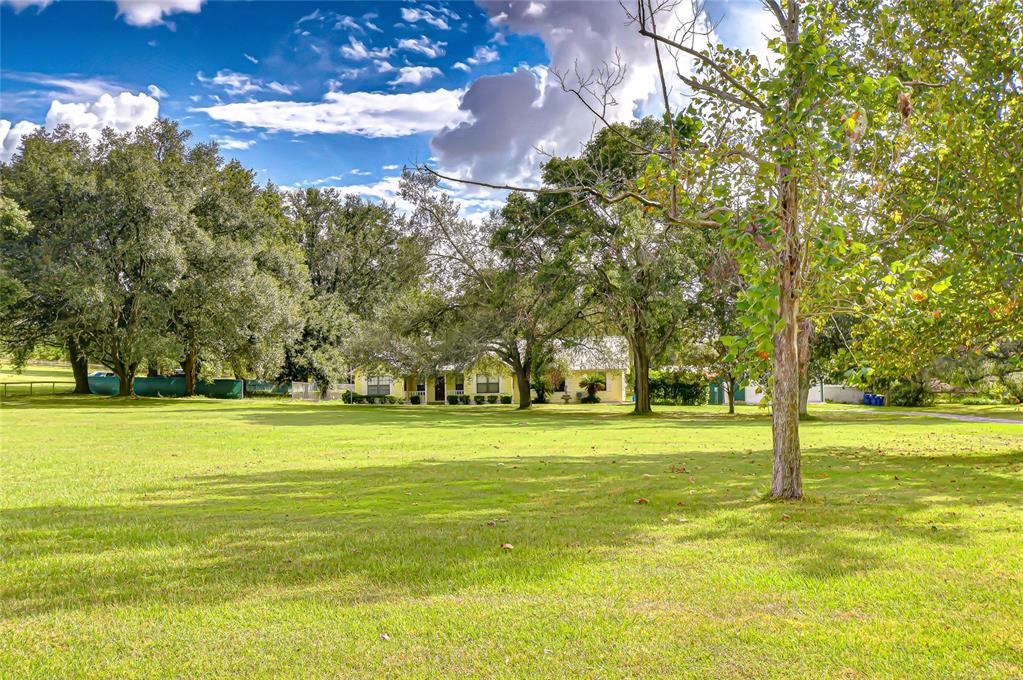 16349 Spring Valley Road Dade City, FL 33523 - Photo 2 of 40 a big yard with lots of green space and trees in the back