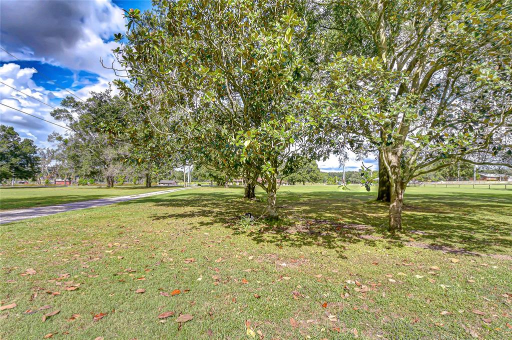 16349 Spring Valley Road Dade City, FL 33523 - Photo 39 of 40