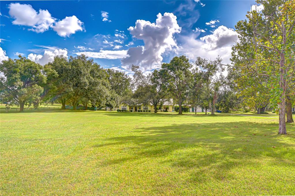 16349 Spring Valley Road Dade City, FL 33523 - Photo 40 of 40 a view of a building and trees in the yard