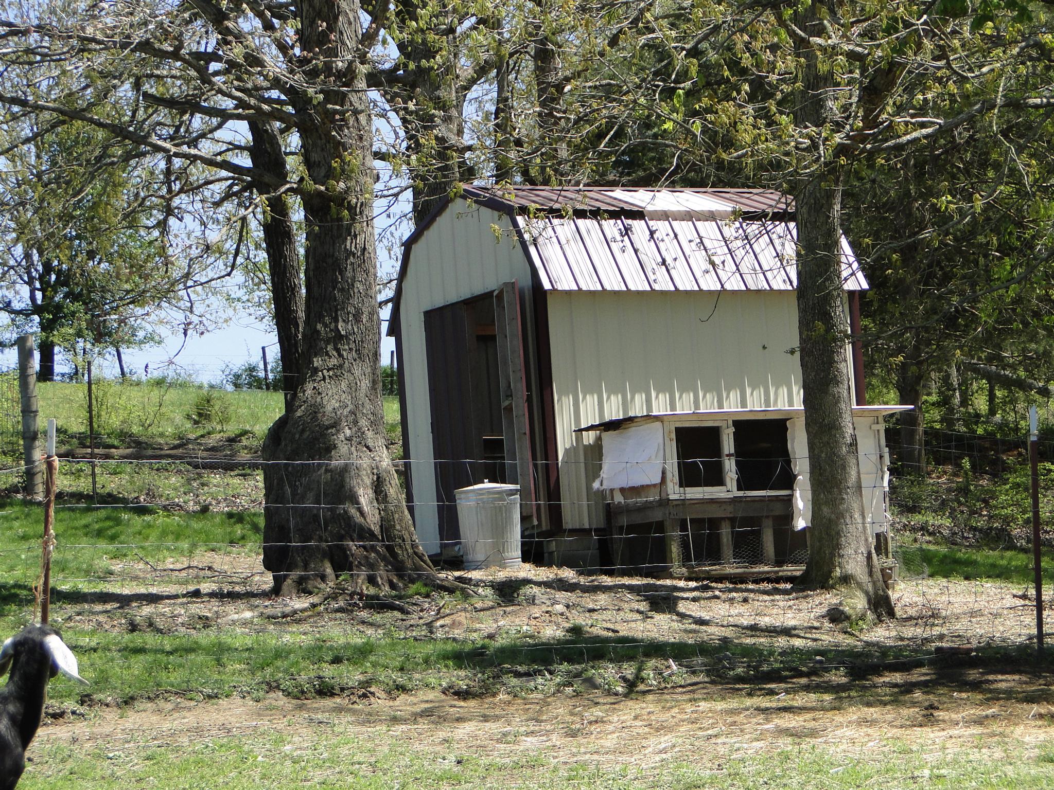 999 Deep Cut Road Erin, TN 37061 - Photo 17 of 29 Gallery Image 17