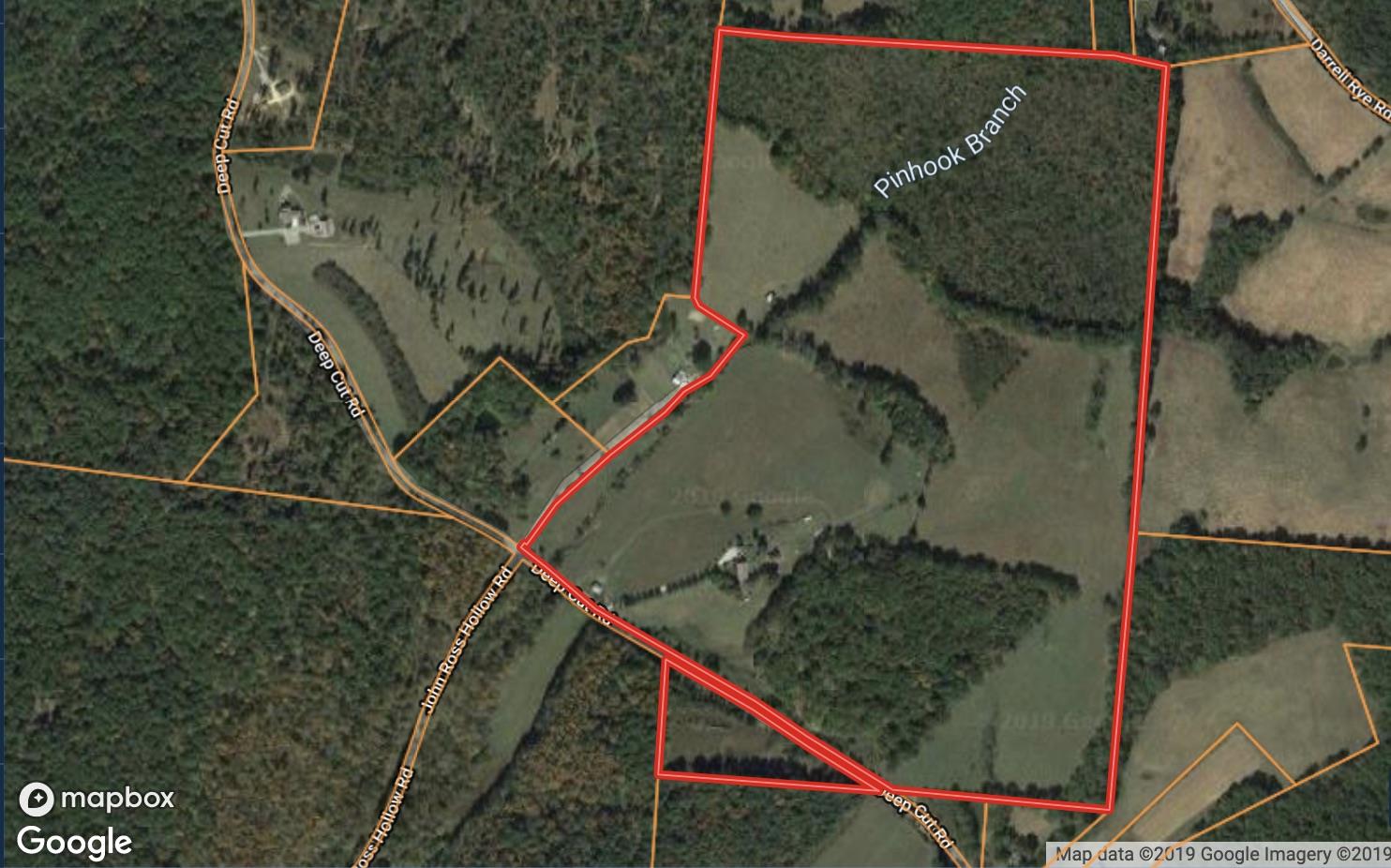 999 Deep Cut Road Erin, TN 37061 - Photo 3 of 29 Gallery Image 3