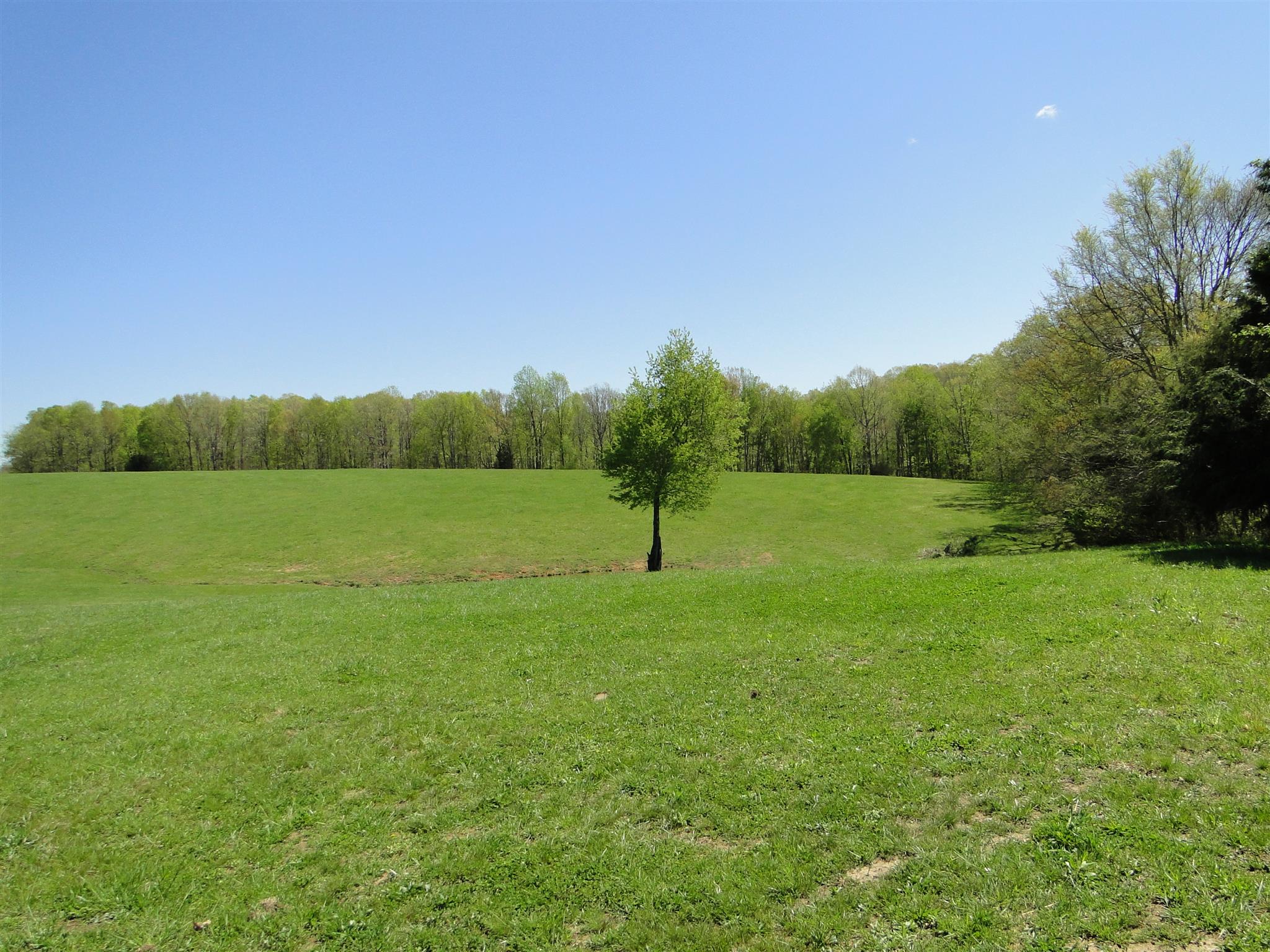 999 Deep Cut Road Erin, TN 37061 - Photo 24 of 29 Gallery Image 24