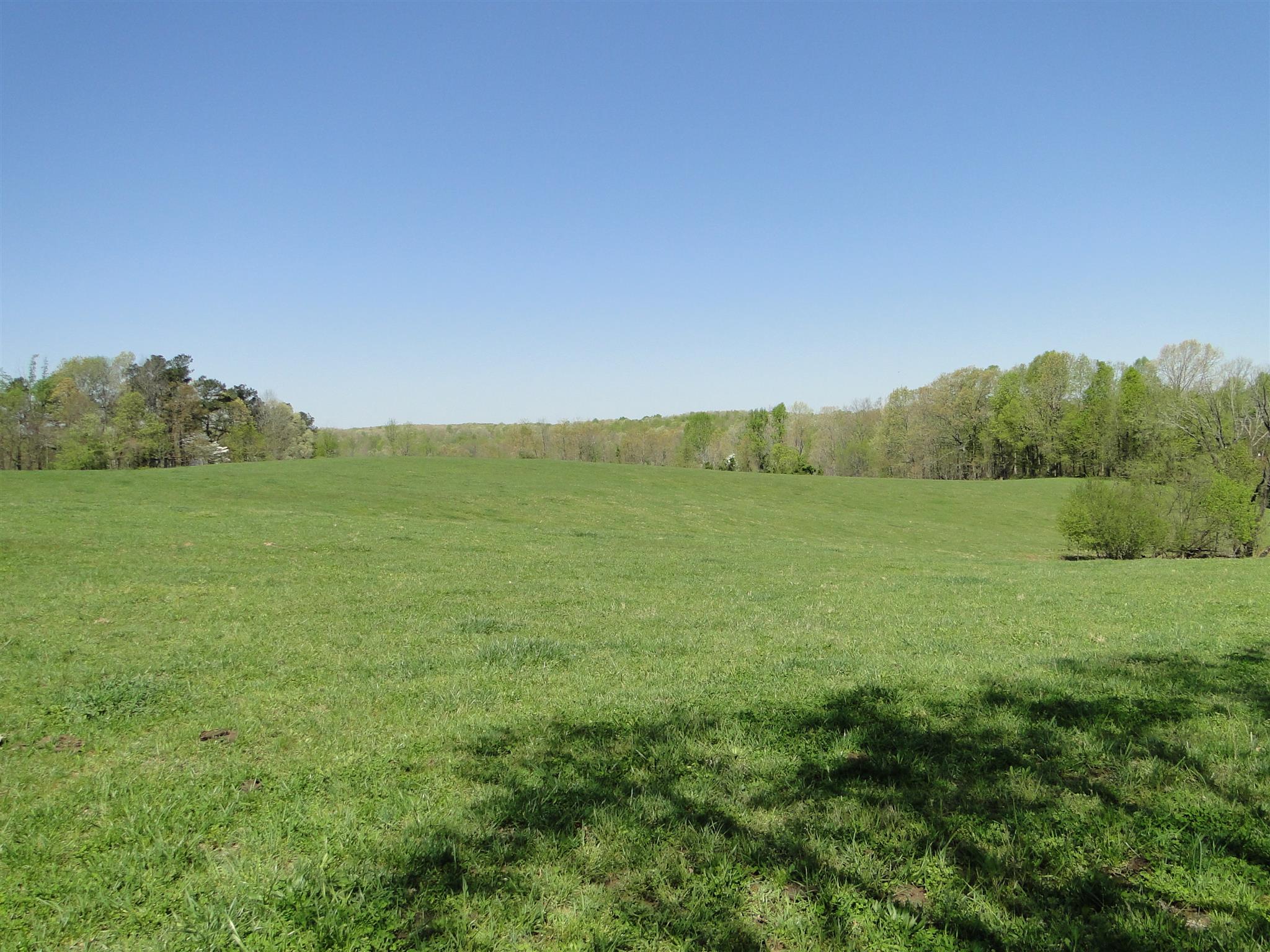999 Deep Cut Road Erin, TN 37061 - Photo 25 of 29 Gallery Image 25