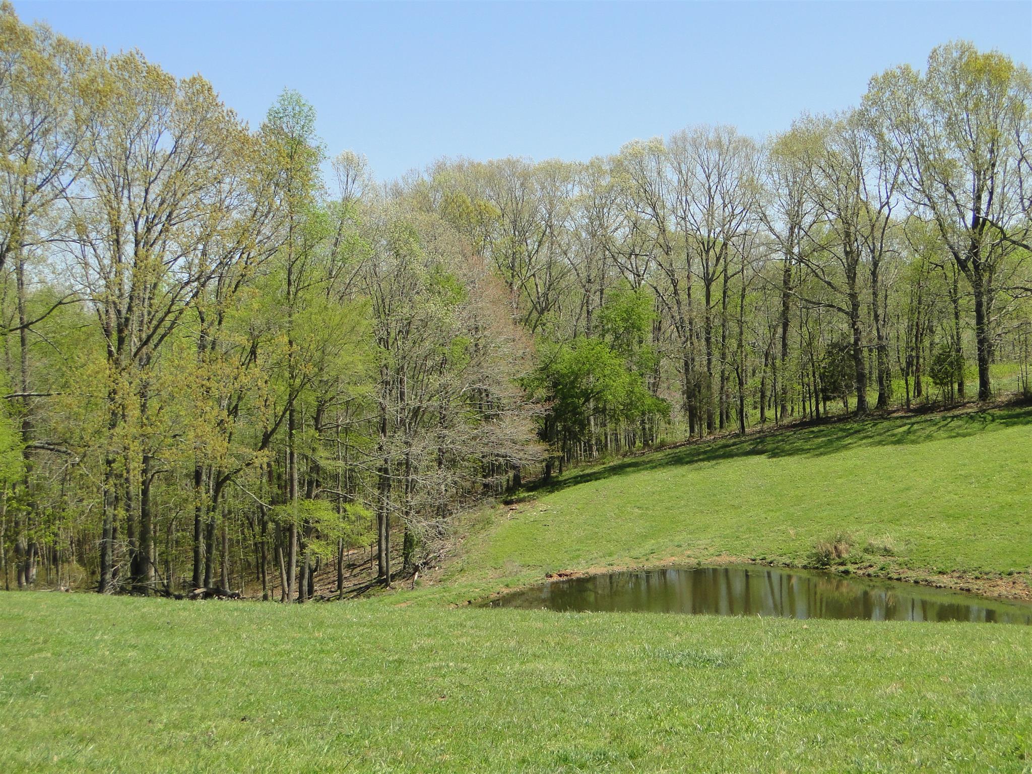 999 Deep Cut Road Erin, TN 37061 - Photo 26 of 29 Gallery Image 26