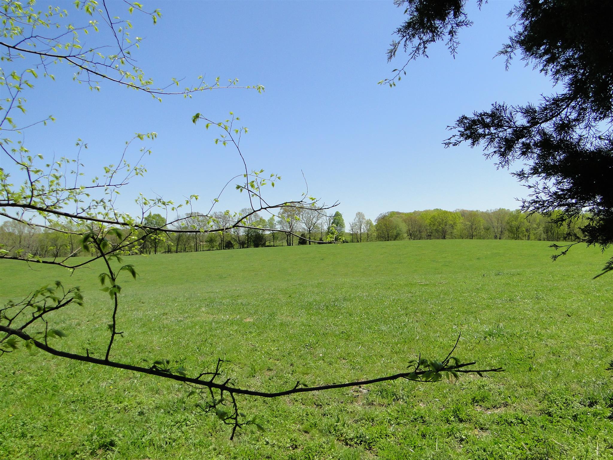 999 Deep Cut Road Erin, TN 37061 - Photo 27 of 29 Gallery Image 27