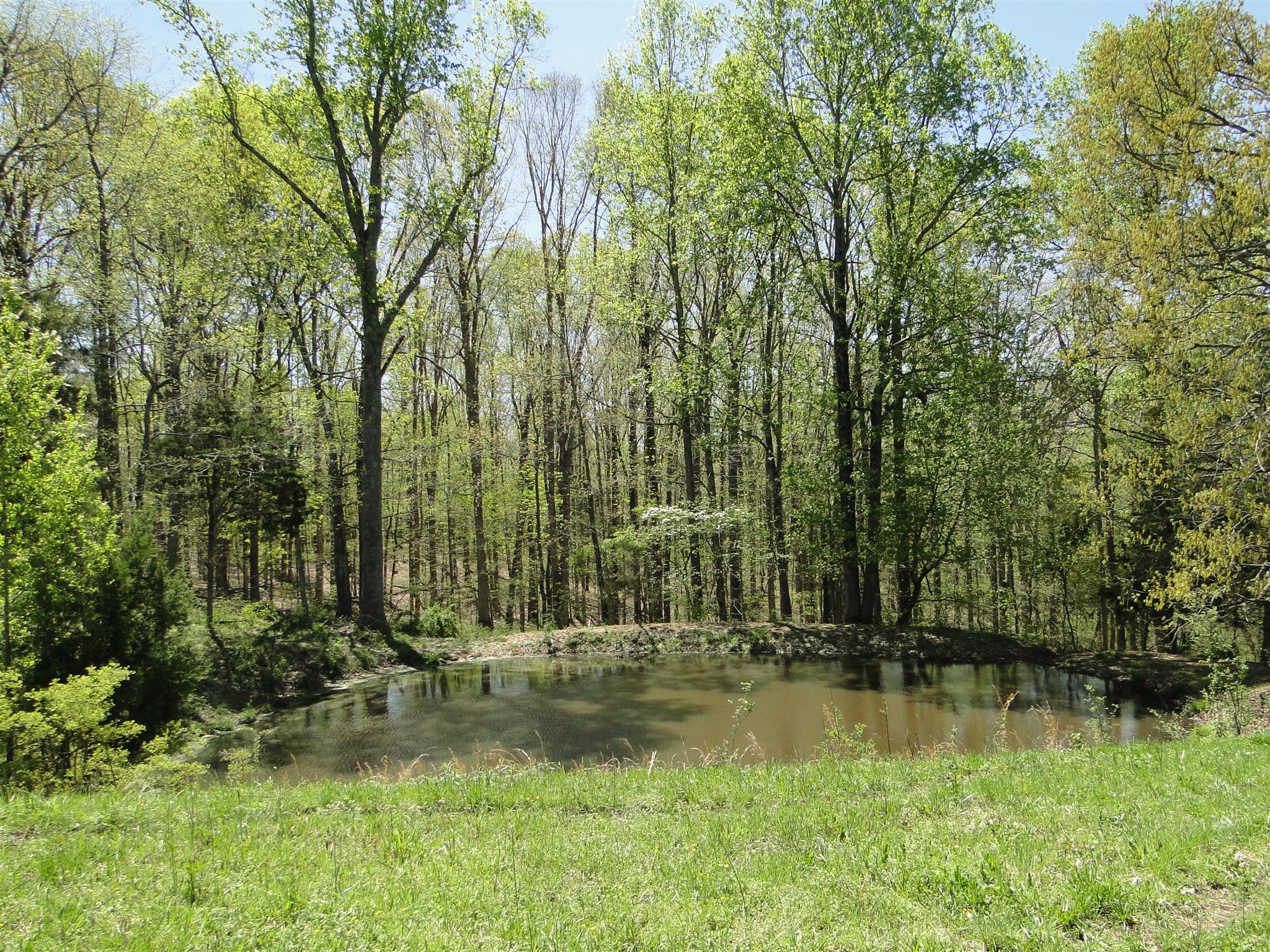 999 Deep Cut Road Erin, TN 37061 - Photo 28 of 29 Gallery Image 28