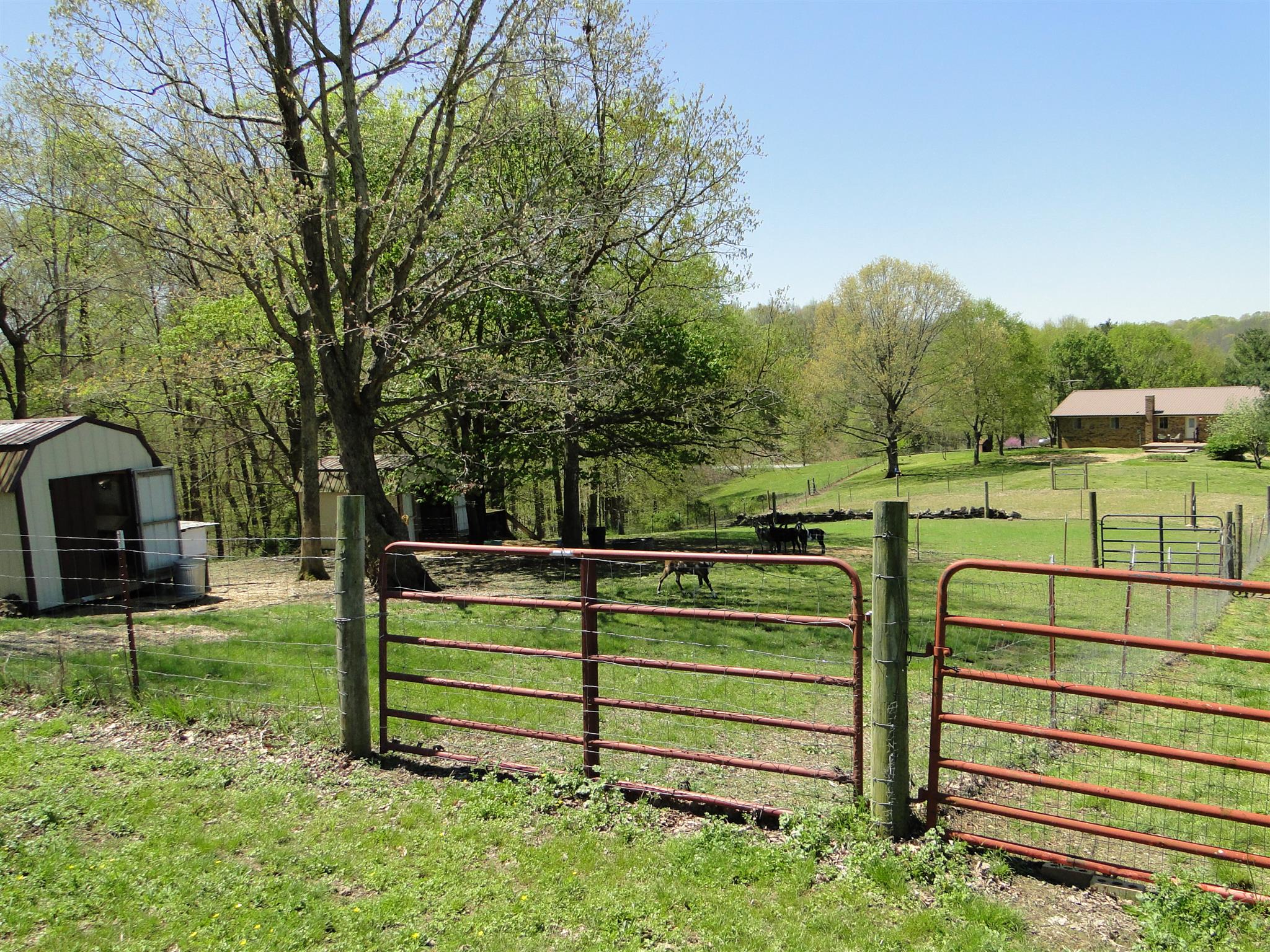 999 Deep Cut Road Erin, TN 37061 - Photo 29 of 29 Gallery Image 29