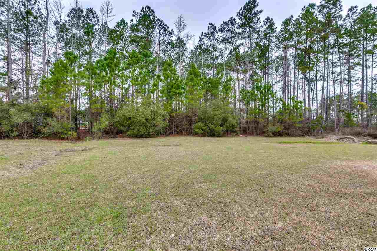 1041 Mccall Loop Conway, SC 29526 - Photo 31 of 32 Gallery Image 31
