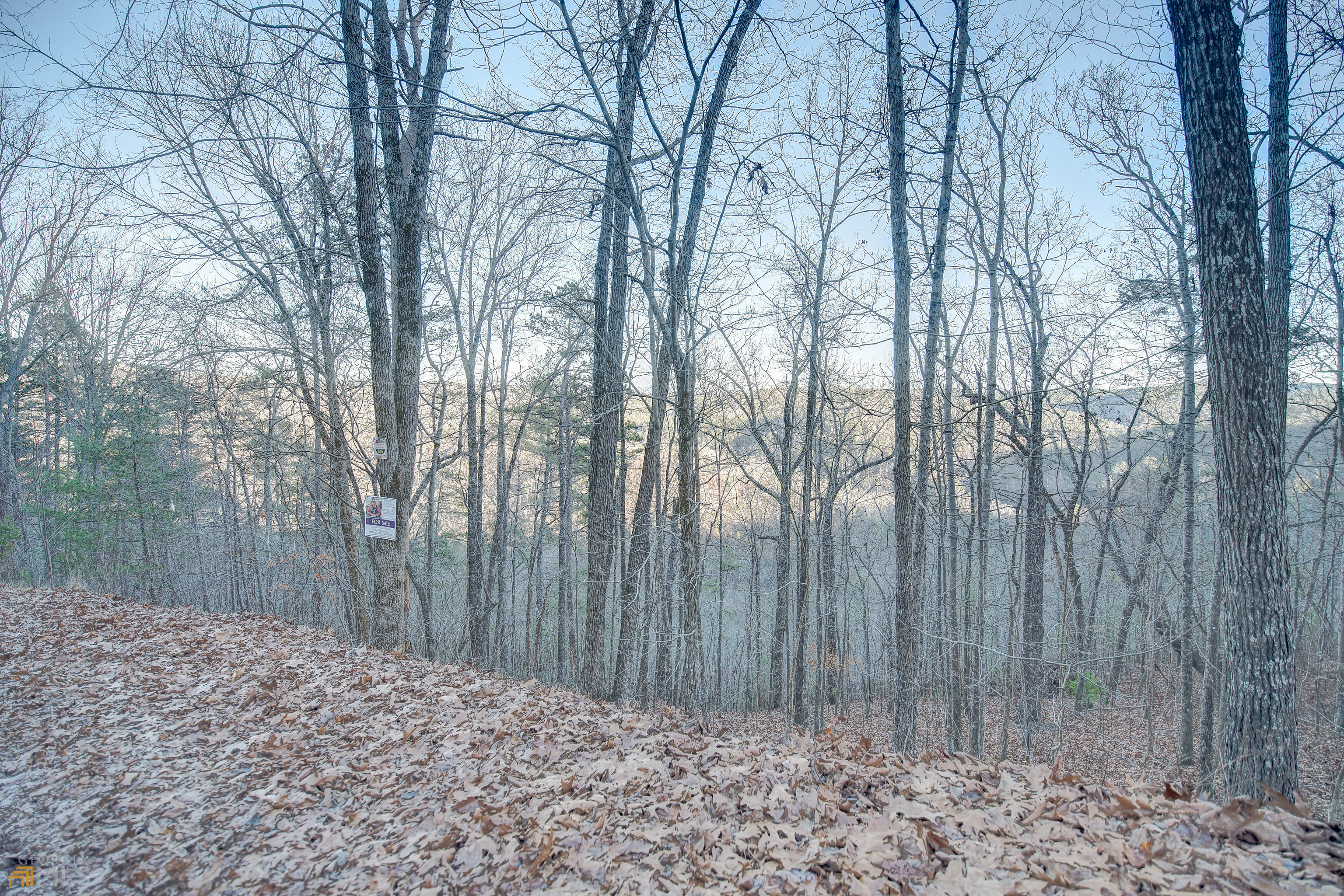 804 Lonsdale Lane Ranger, GA 30734 - Photo 1 of 1 a view of a backyard of the house