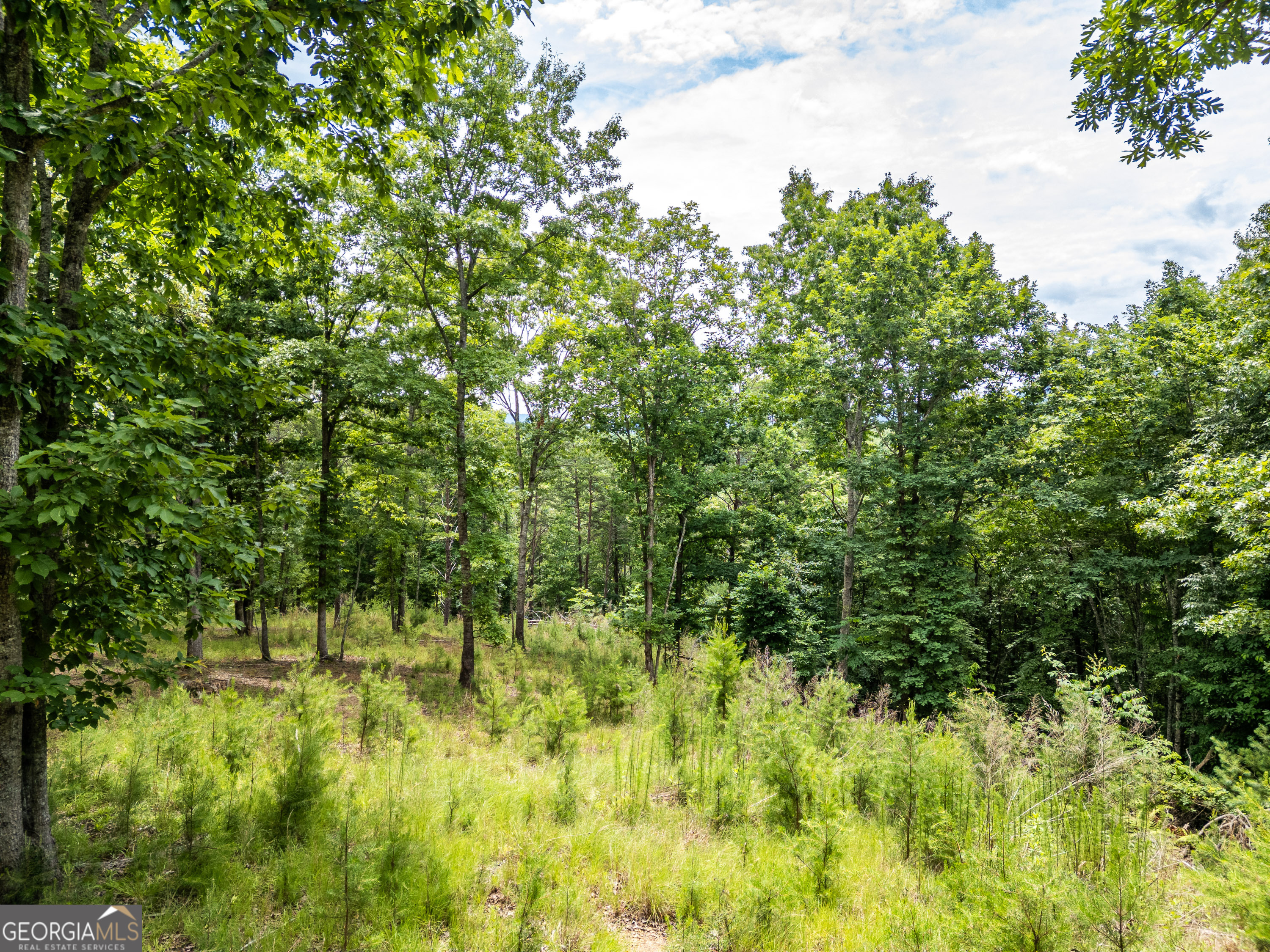 1 Stormy Ridge Brasstown, NC 28902 - Photo 7 of 20