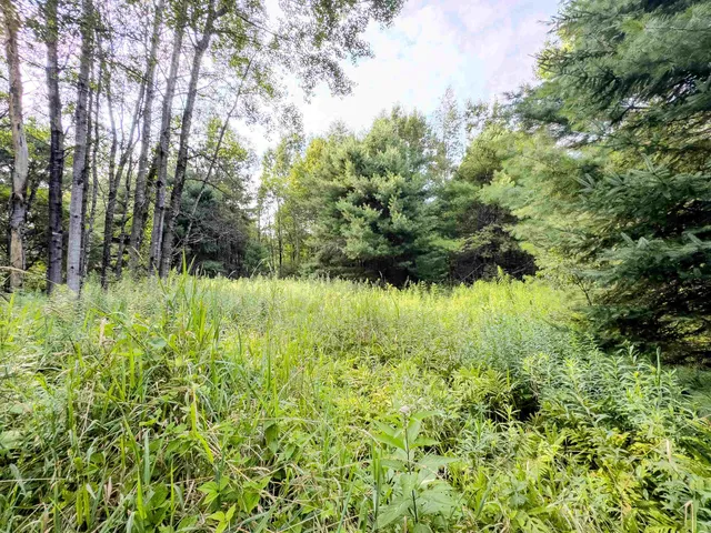 $74,900 | 0 Woodsville Road, Monroe, NH 03771