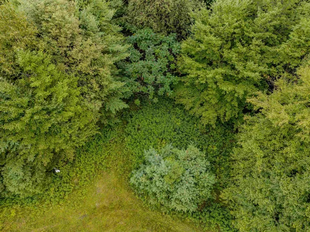 $74,900 | 0 Woodsville Road, Monroe, NH 03771